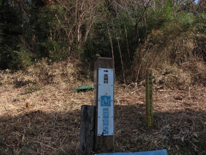 日和田山、物見山